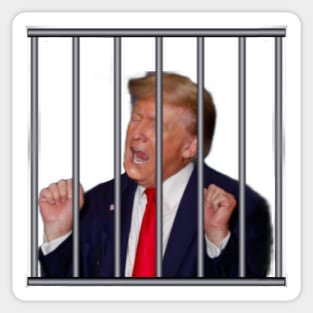 LOCK HIM UP Sticker